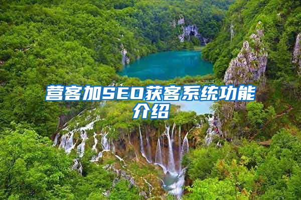 营客加SEO获客系统功能介绍