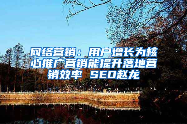 网络营销：用户增长为核心推广营销能提升落地营销效率 SEO赵龙