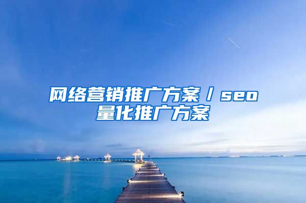 网络营销推广方案／seo量化推广方案