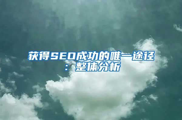 获得SEO成功的唯一途径：整体分析