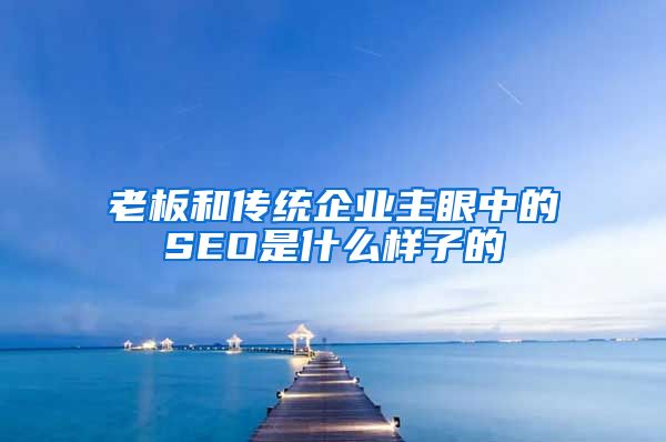 老板和传统企业主眼中的SEO是什么样子的