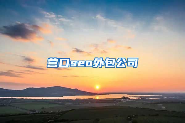 营口seo外包公司