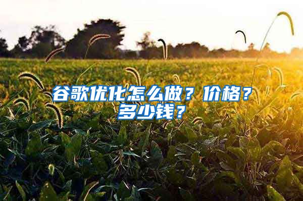 谷歌优化怎么做？价格？多少钱？