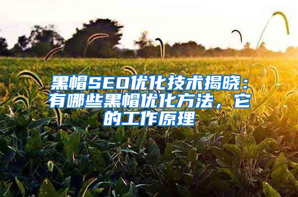 黑帽SEO优化技术揭晓：有哪些黑帽优化方法，它的工作原理
