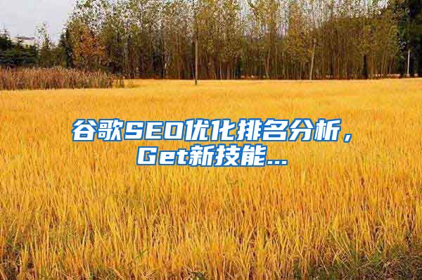 谷歌SEO优化排名分析，Get新技能...