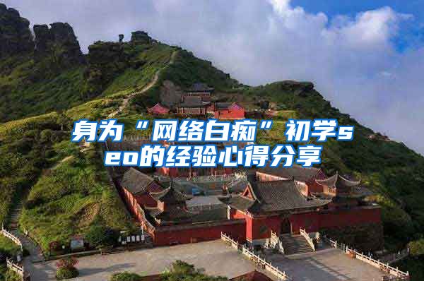 身为“网络白痴”初学seo的经验心得分享