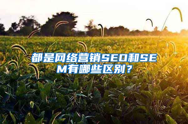 都是网络营销SEO和SEM有哪些区别？