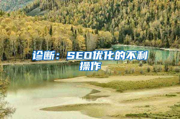 诊断：SEO优化的不利操作