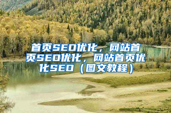 首页SEO优化，网站首页SEO优化，网站首页优化SEO（图文教程）