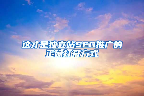这才是独立站SEO推广的正确打开方式