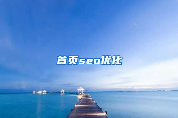 首页seo优化