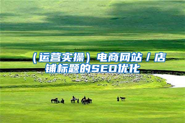 （运营实操）电商网站／店铺标题的SEO优化