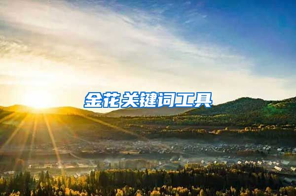 金花关键词工具