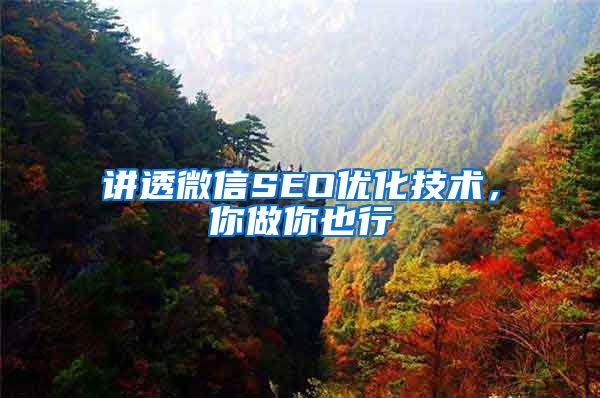 讲透微信SEO优化技术，你做你也行