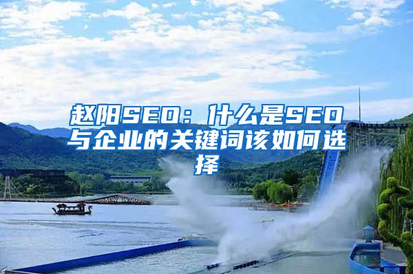 赵阳SEO：什么是SEO与企业的关键词该如何选择