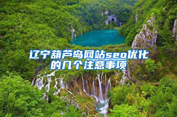 辽宁葫芦岛网站seo优化的几个注意事项