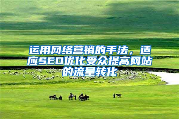 运用网络营销的手法，适应SEO优化受众提高网站的流量转化