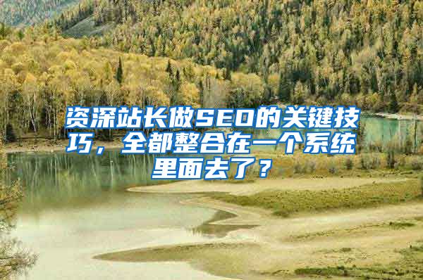 资深站长做SEO的关键技巧，全都整合在一个系统里面去了？