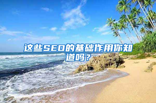 这些SEO的基础作用你知道吗？