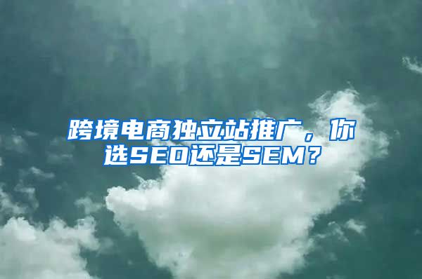 跨境电商独立站推广，你选SEO还是SEM？