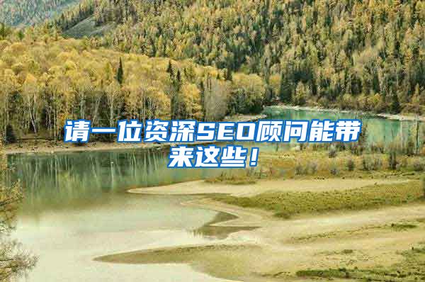 请一位资深SEO顾问能带来这些！