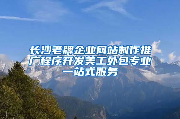 长沙老牌企业网站制作推广程序开发美工外包专业一站式服务