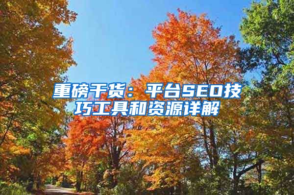 重磅干货：平台SEO技巧工具和资源详解