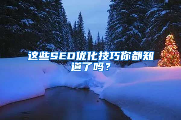 这些SEO优化技巧你都知道了吗？