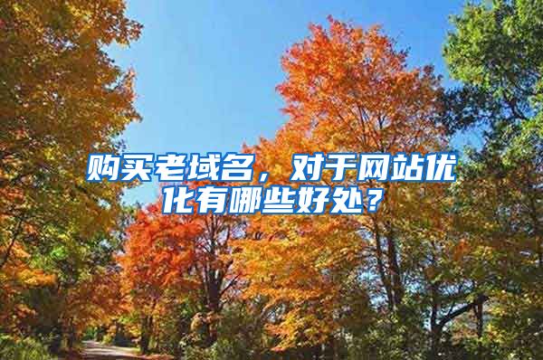 购买老域名，对于网站优化有哪些好处？