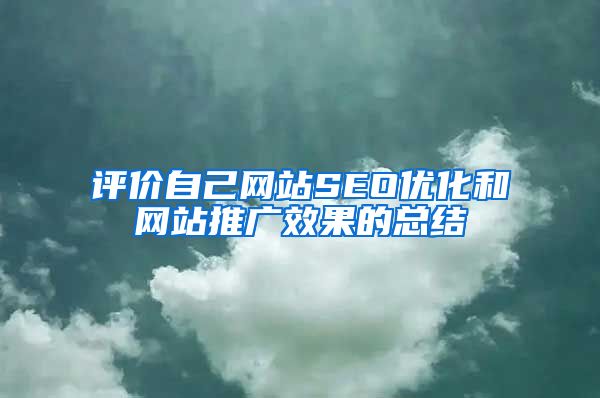 评价自己网站SEO优化和网站推广效果的总结