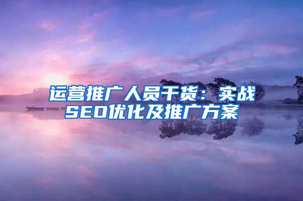 运营推广人员干货：实战SEO优化及推广方案