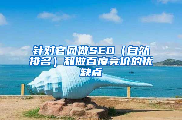 针对官网做SEO（自然排名）和做百度竞价的优缺点