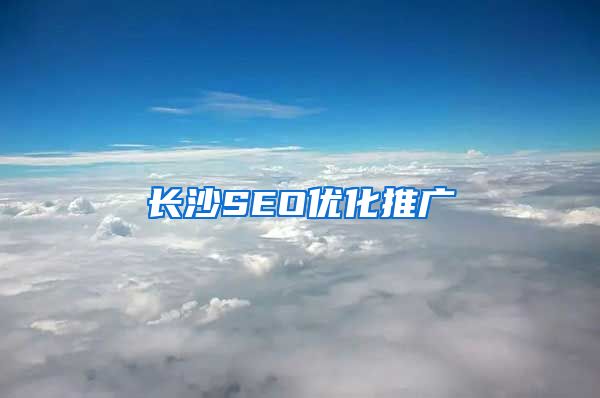 长沙SEO优化推广