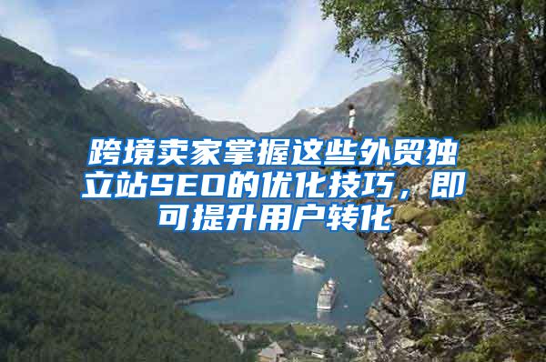 跨境卖家掌握这些外贸独立站SEO的优化技巧，即可提升用户转化
